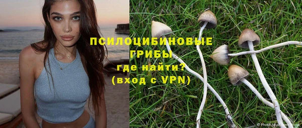 хмурый Приозерск